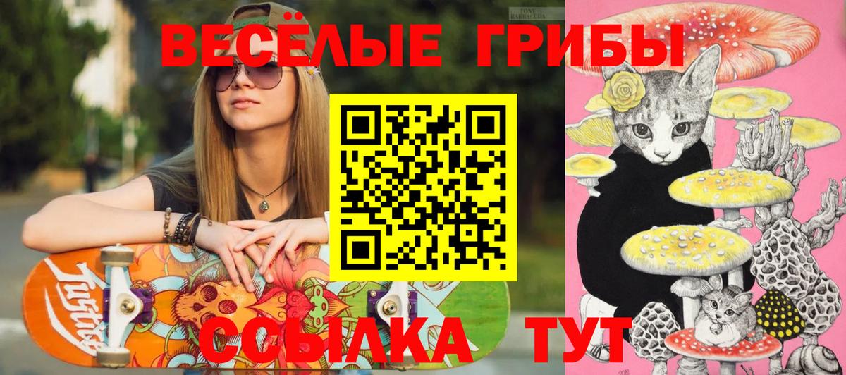 Славянск-на-Кубани  Псилоцибиновые грибы Psilocybe  Вход с VPN  Галлюциногенные грибы MAGIC MUSHROOMS 